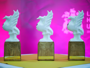 Three small trophies on display, Liverbird mounted on wood